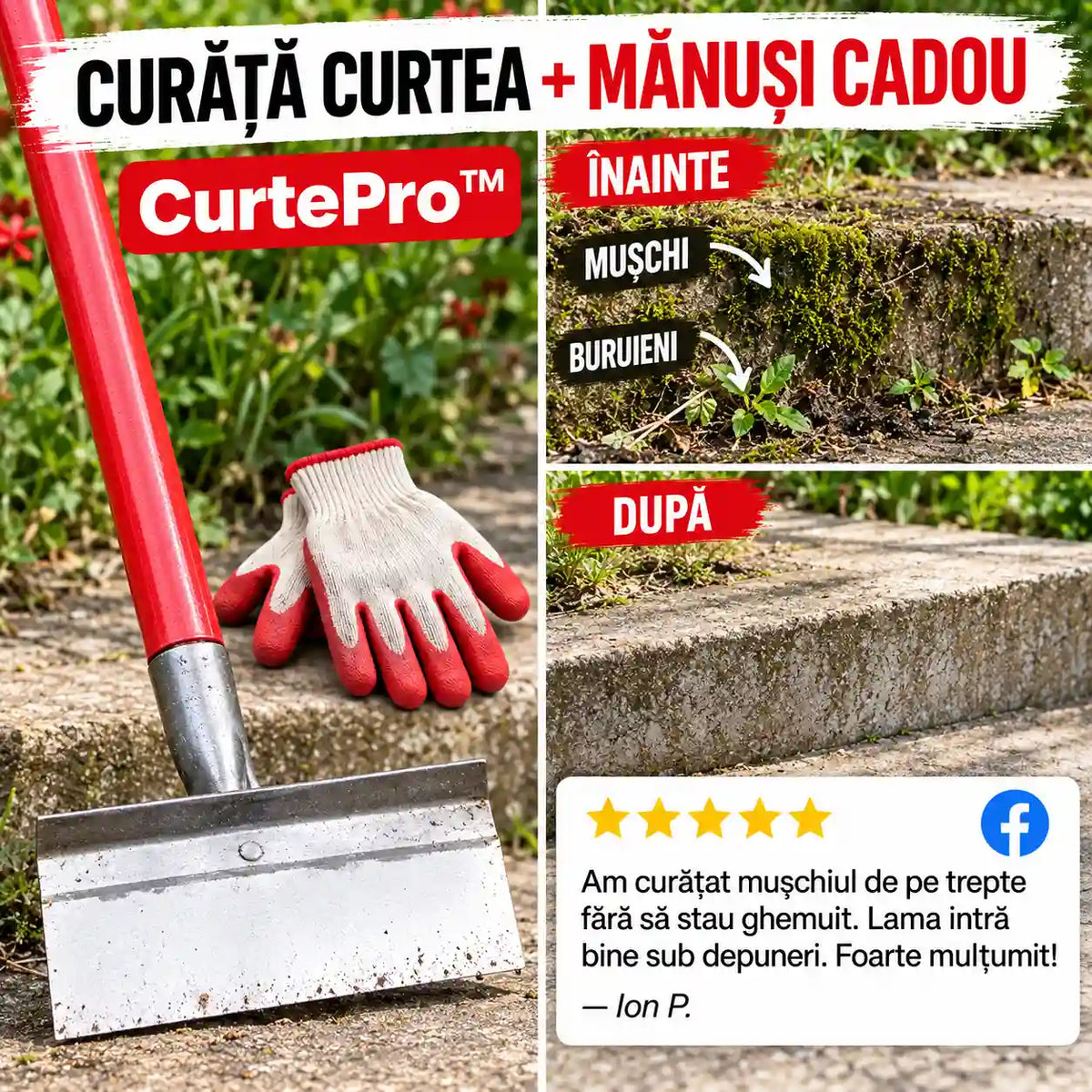 curtepro-main-rs