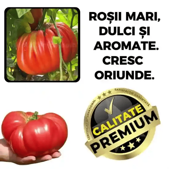 Adeziv pentru Roșii - RoșiiCresc™
