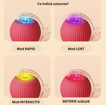 Minge Interactivă cu Șnur pentru Câini și Pisici