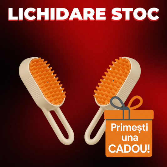 Perie Electrică cu Abur SteamBrush™  1+1 Cadou