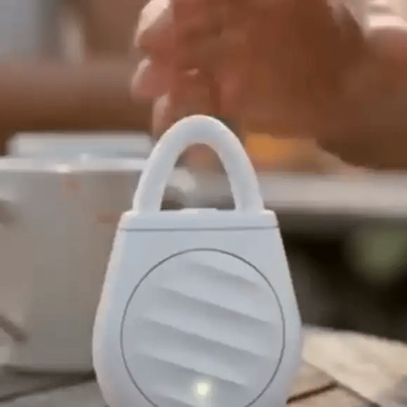 birdaway-gif-1