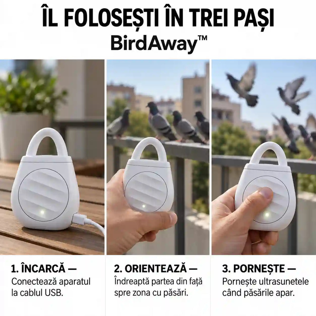 birdaway-how-to