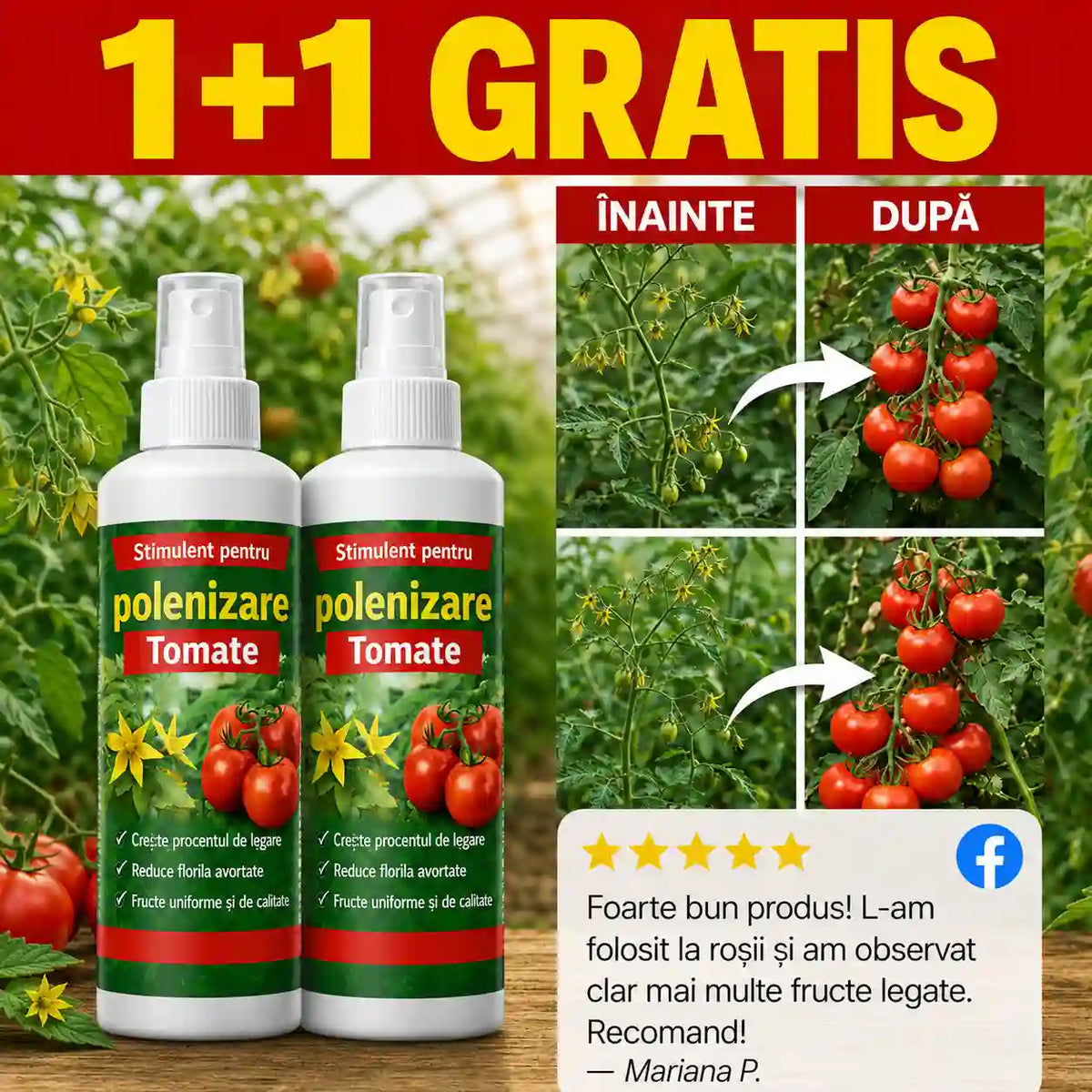 BIO-Stimulent Pentru Polenizare Tomate - 1+1 GRATIS
