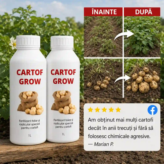 Îngrășământ Natural pentru Cartofi - CartofGrow™ 1+1 GRATIS