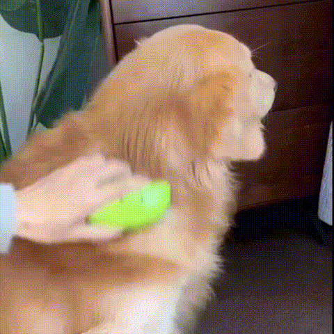 Perie cu Abur pentru Animale
