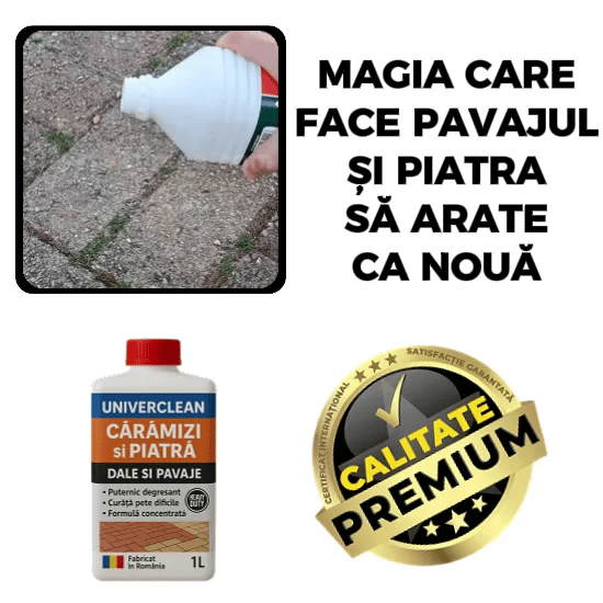 Detergent Curte si Pavaje