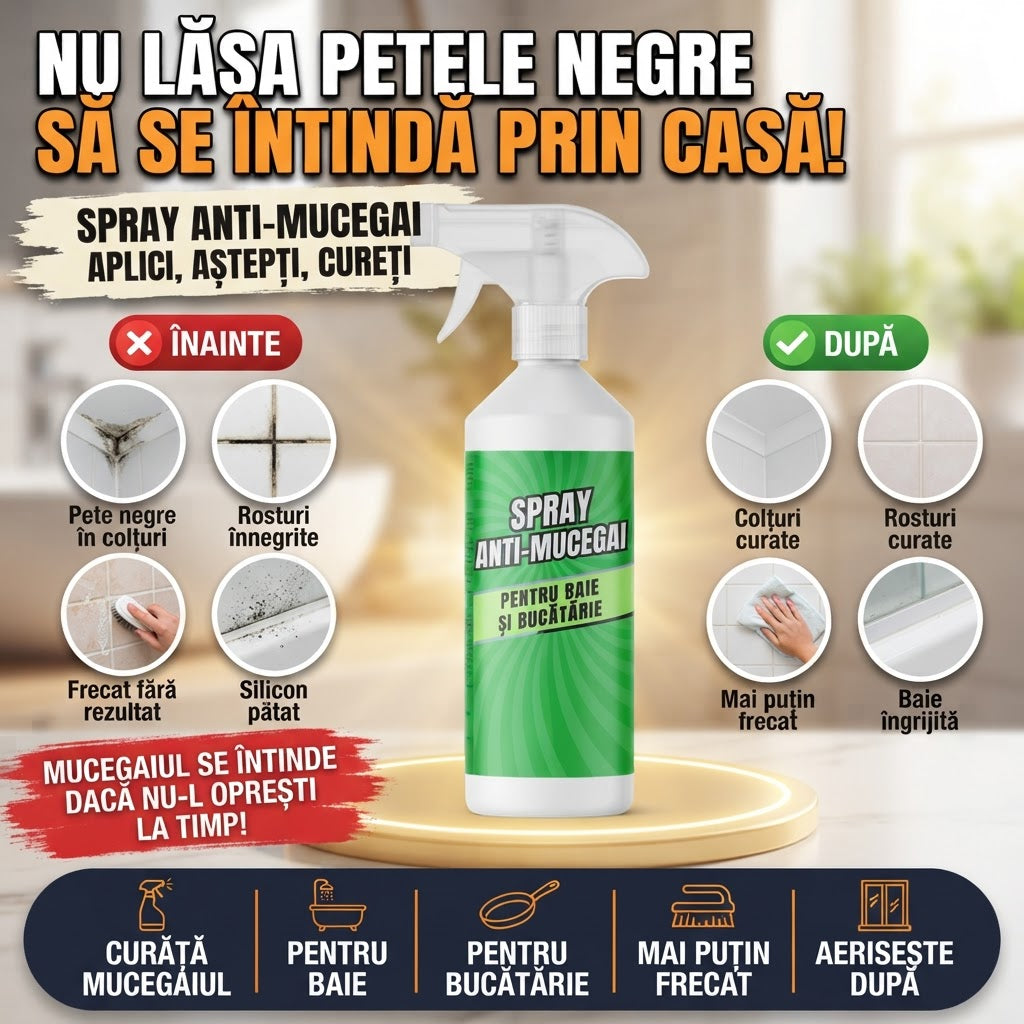 moldclean-3-prezentare