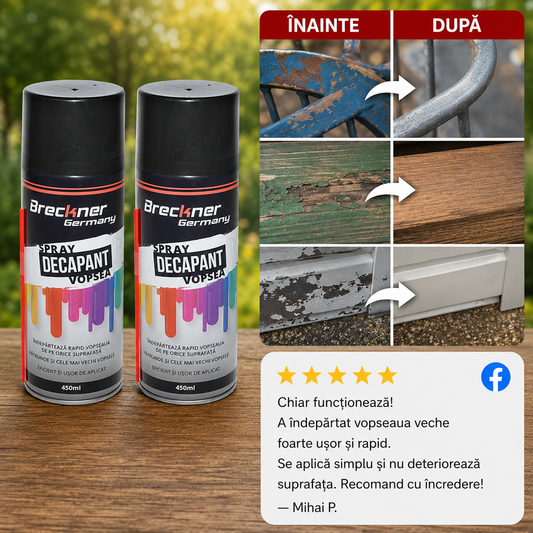 Spray pentru Îndepărtat Vopsea - PaintAway™